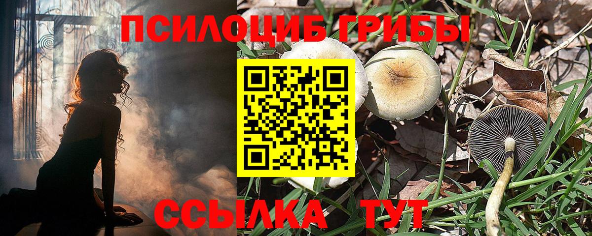 Аша  Псилоцибиновые грибы Psilocybe  Псилоцибиновые грибы мицелий  Вход с VPN 